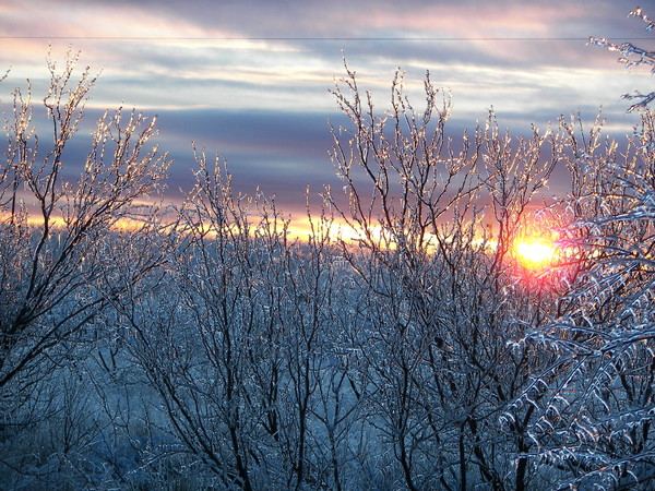 Frozen Sun Rise