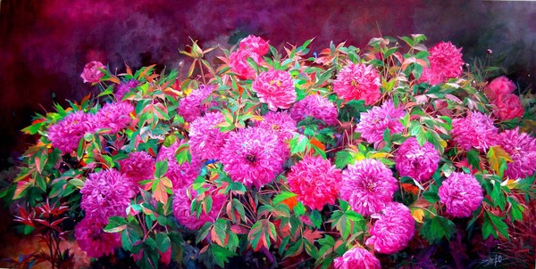 Peony  