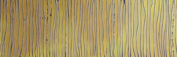 Ripple- Gold I