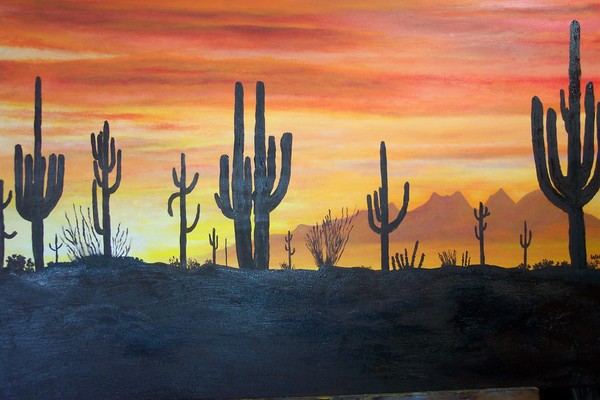 Arizona Sunset