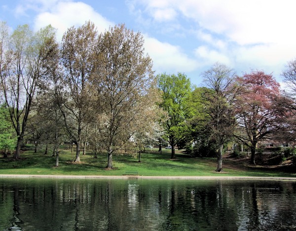 spring in the park