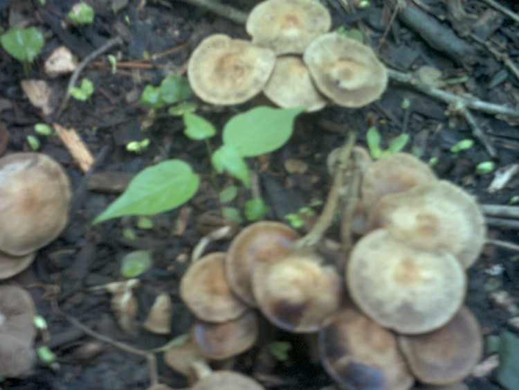 Picture from camera 338