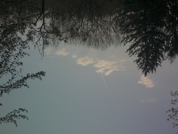 Picture from camera 262