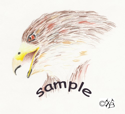 Buzzard