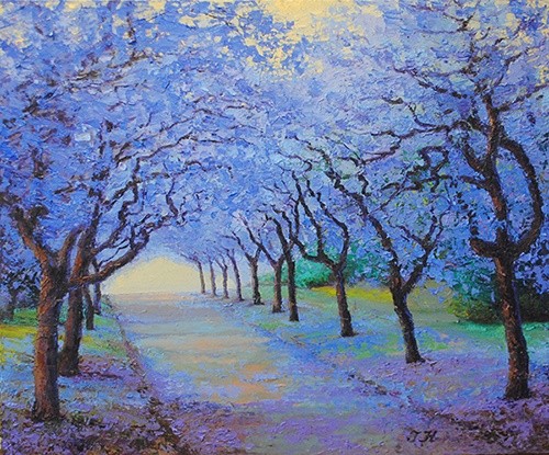 Jacarandas.