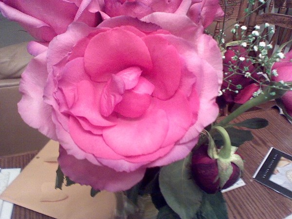 Blossoming