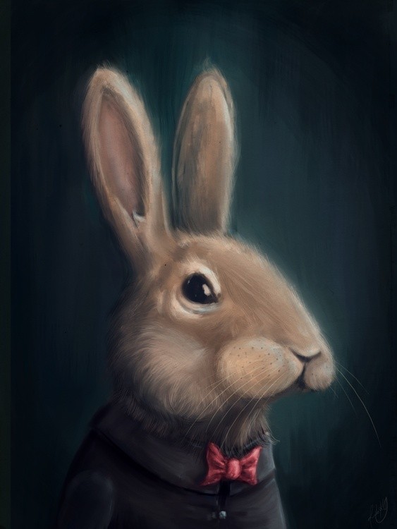 131103a RabbitBIG