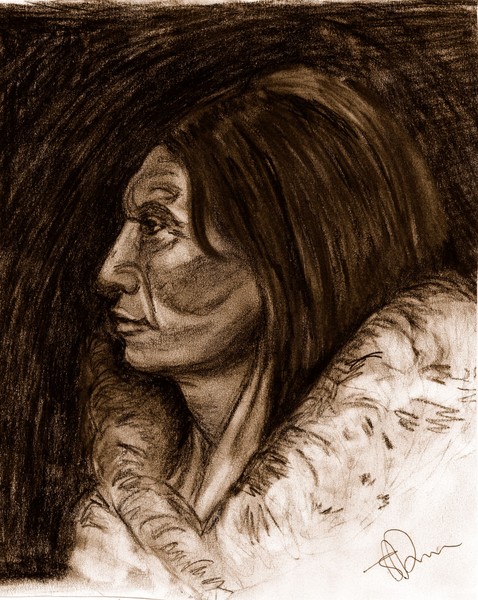 north american indians
