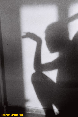 the Shadow