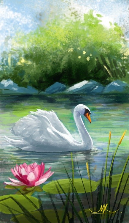 Swan