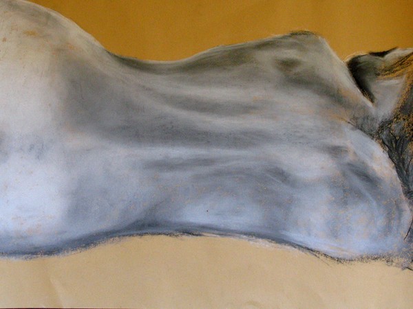 Reclining Nude from Rear