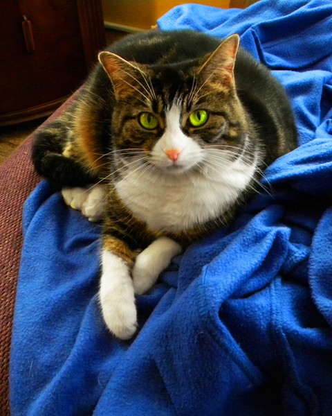 better photo of Bootsi..