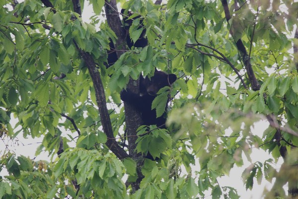 Playing hide and seek