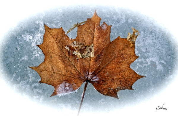 Frozen in time !