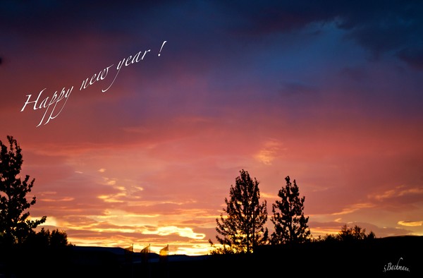 Happy new year 2016 !