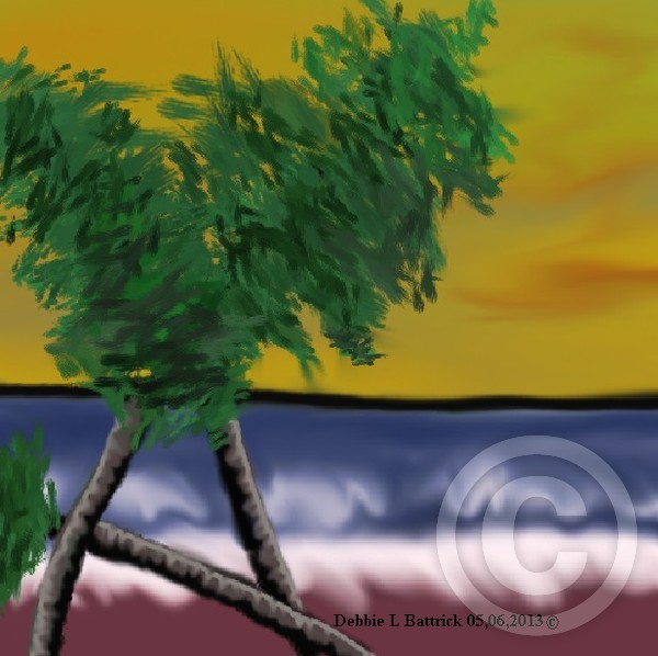 Palm Trees