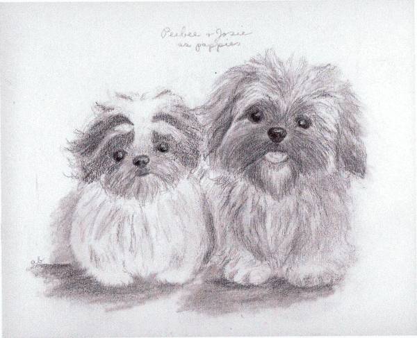 Two Puppies