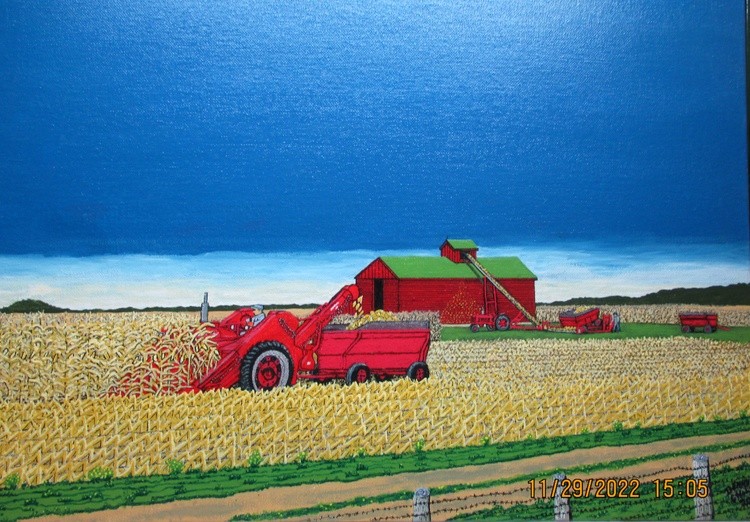 IMG HARVESTING CORN 1940s - 1950s
