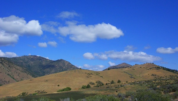 Northern California 