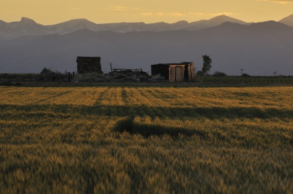 Fields Of History