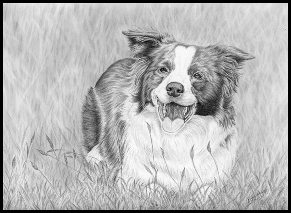 Tess Portrait