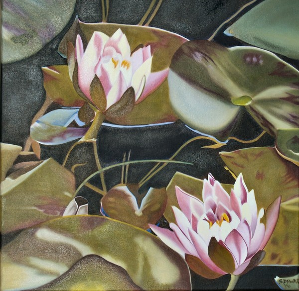 Waterlilies