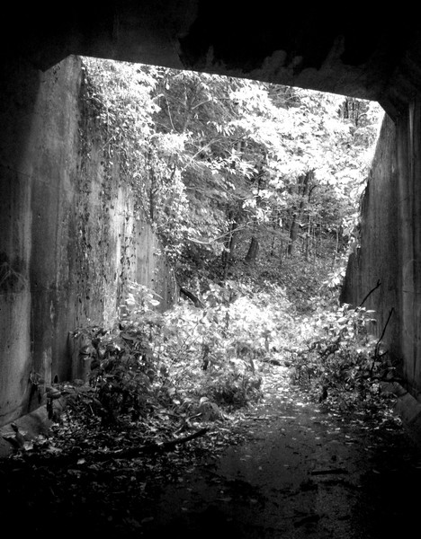 Under the Bridge