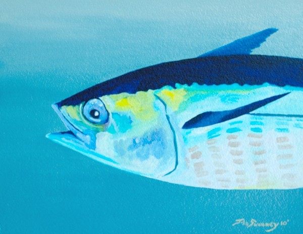 Big Blue Tuna