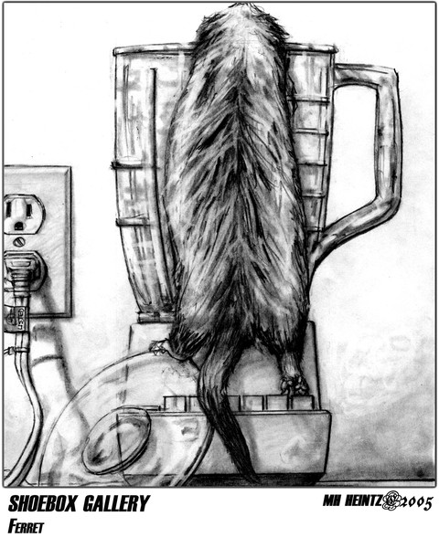 SHOEBOX GALLERY: FERRET