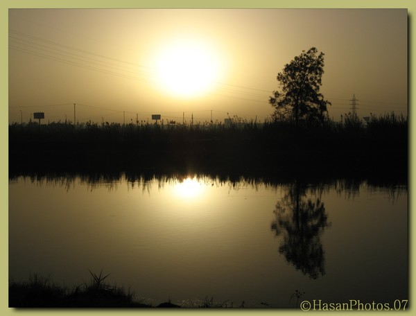 The sun, the nile and a tree2