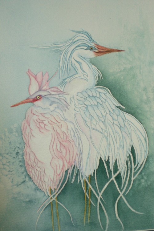 Feathers