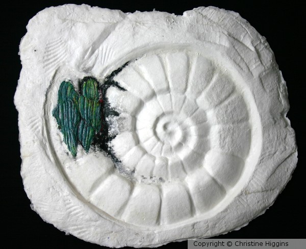 Zoolite 1
