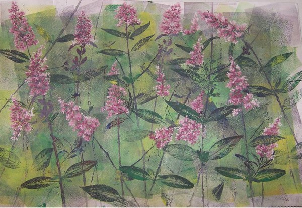 Butterfly Bush