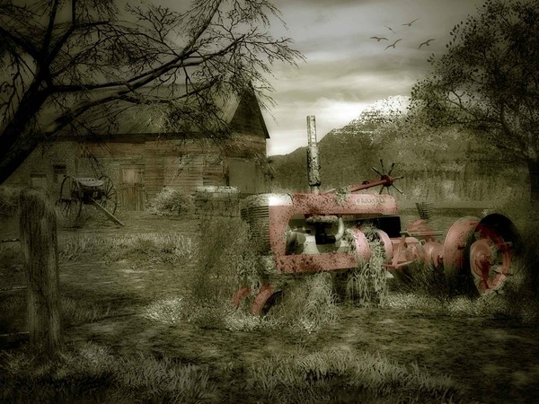Memories of the Past