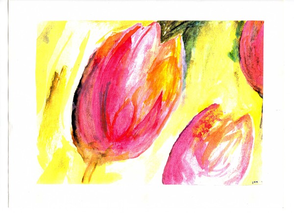 Tulips