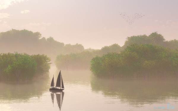 Misty morning