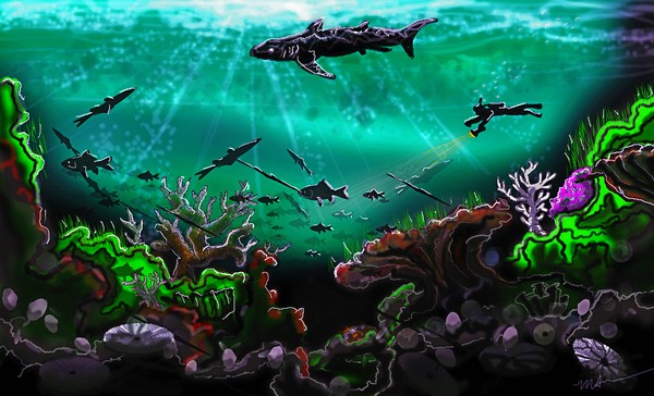 Paradise Reef
