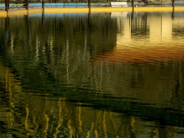 reflection