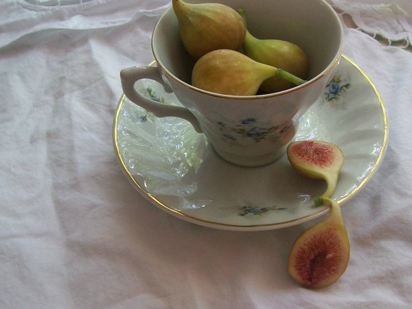 Fresh Figs. Photo.