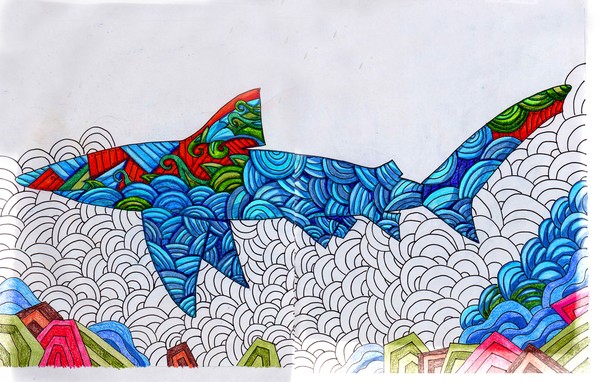 Project Optical SHARK