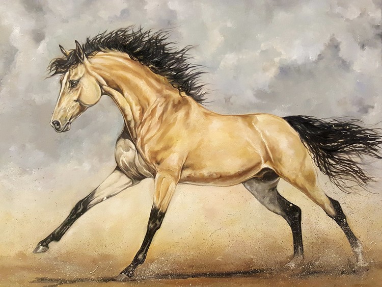 buckskin