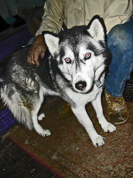 SKYE I 