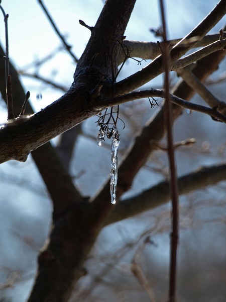 DRIP