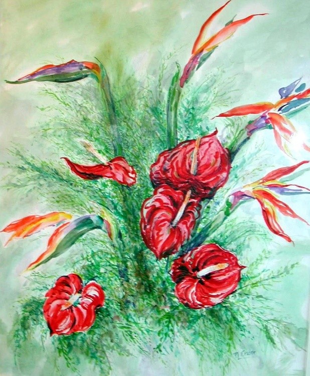 Hawaiian Flowers