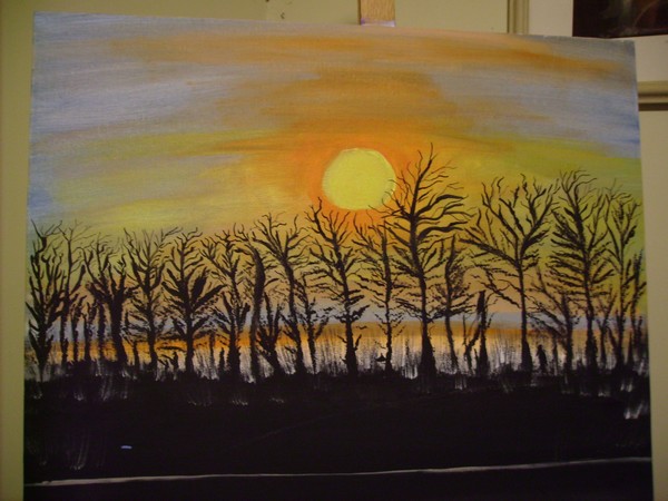 louisiana swamp at sunset