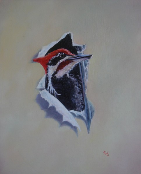 Pileated poppin' out