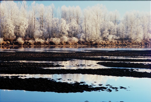 Frosty Fraser Morning