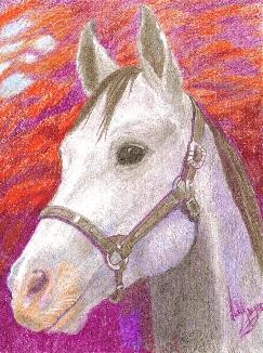 HORSIE