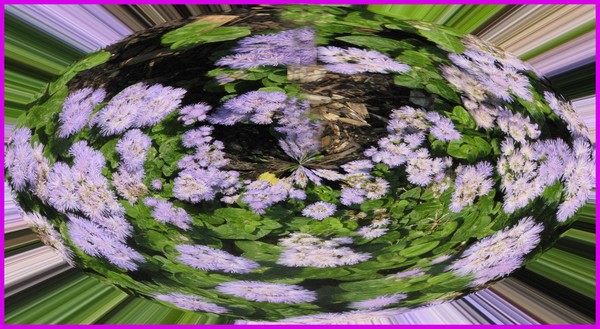 BLUE FLOWER ABSTRACT