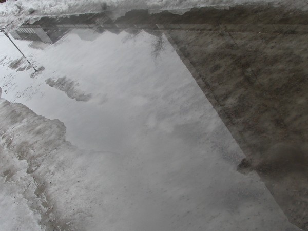 LONG ROAD REFLECTIONS..